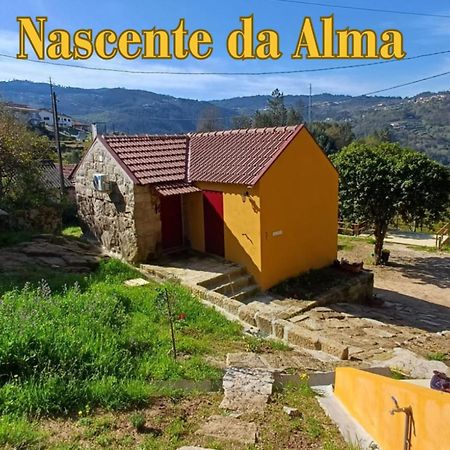 Nascente, Place In Nature Next To A Waterfall Loureiro  Luaran gambar