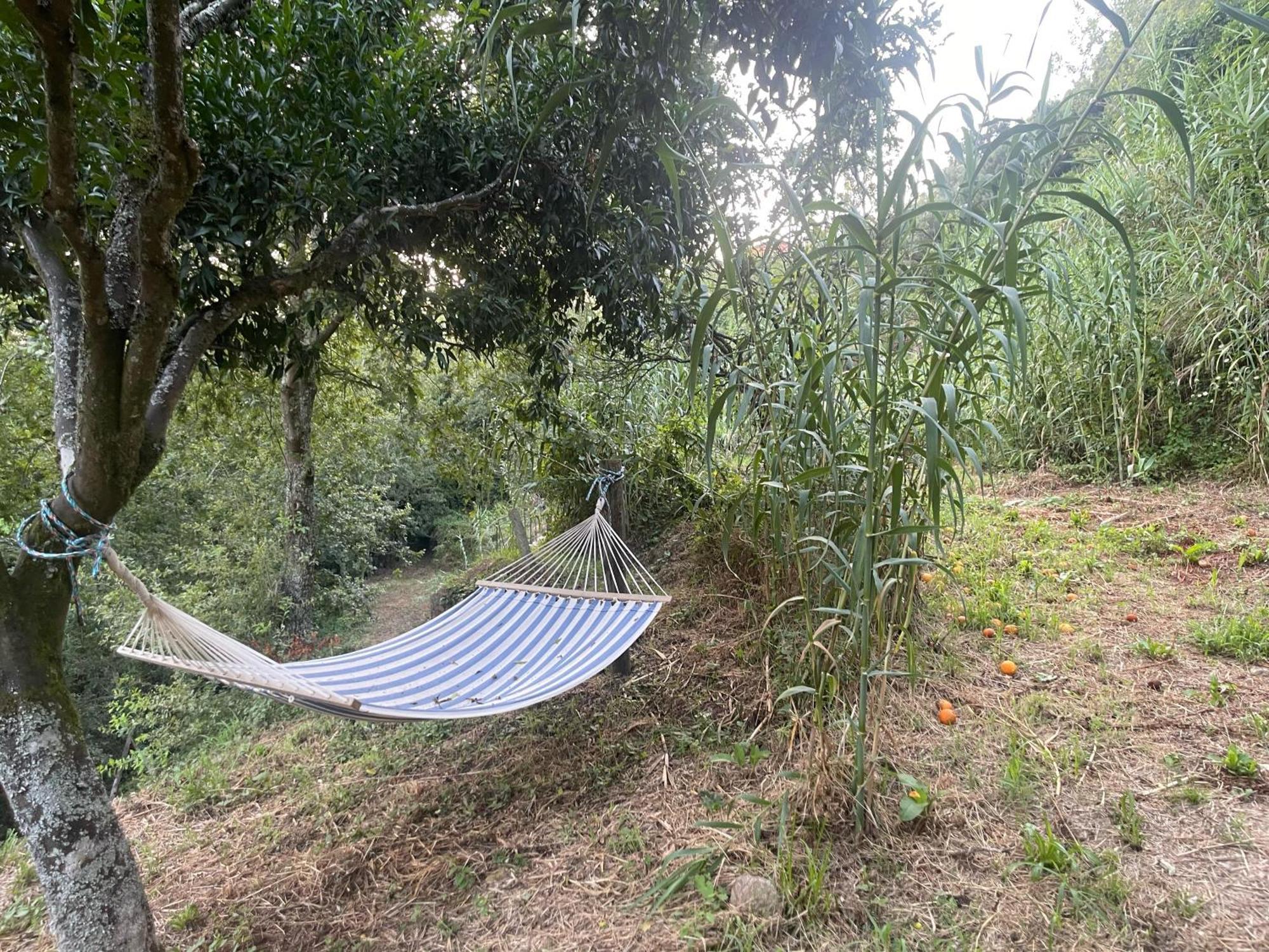 Nascente, Place In Nature Next To A Waterfall Loureiro  Luaran gambar