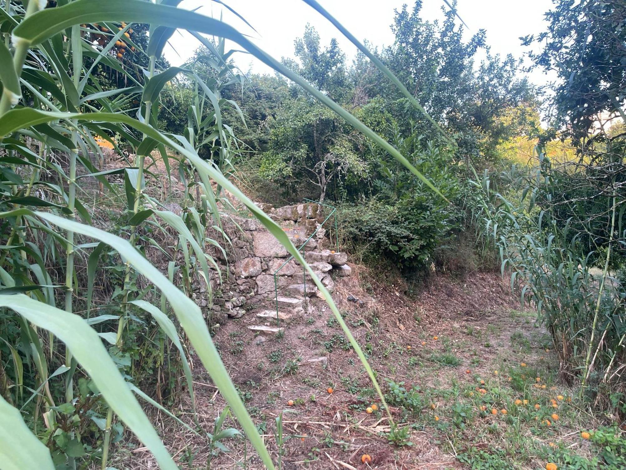 Nascente, Place In Nature Next To A Waterfall Loureiro  Luaran gambar