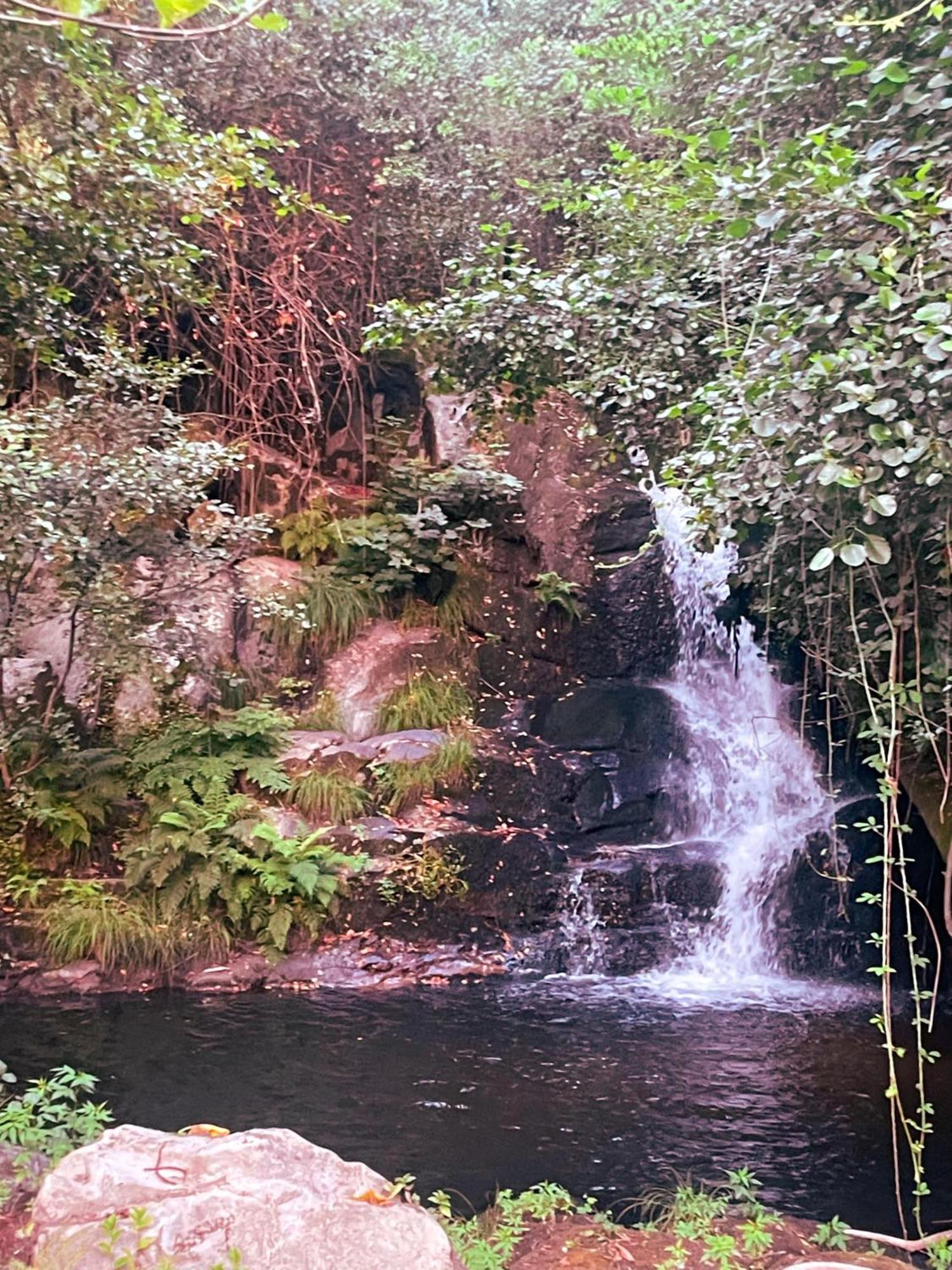 Nascente, Place In Nature Next To A Waterfall Loureiro  Luaran gambar